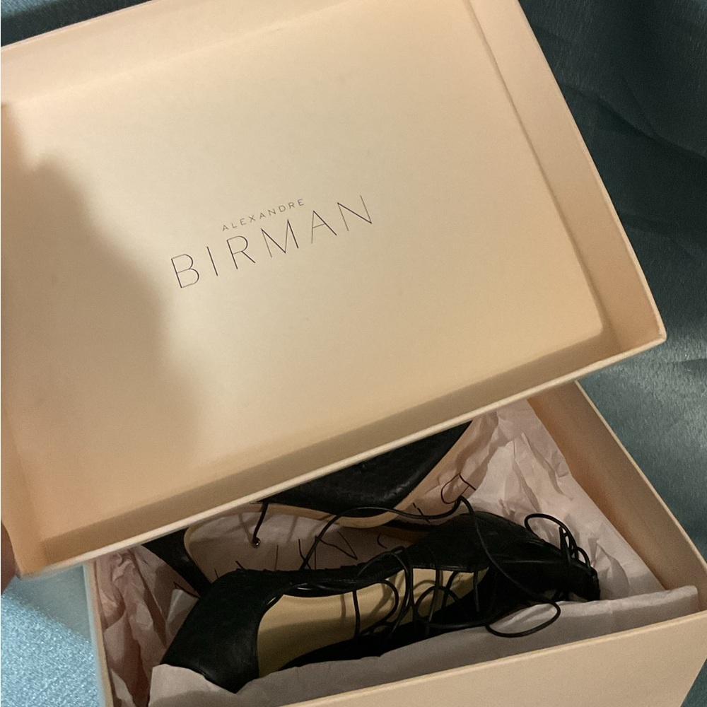 Alexandre Birman Python Heels - image 5